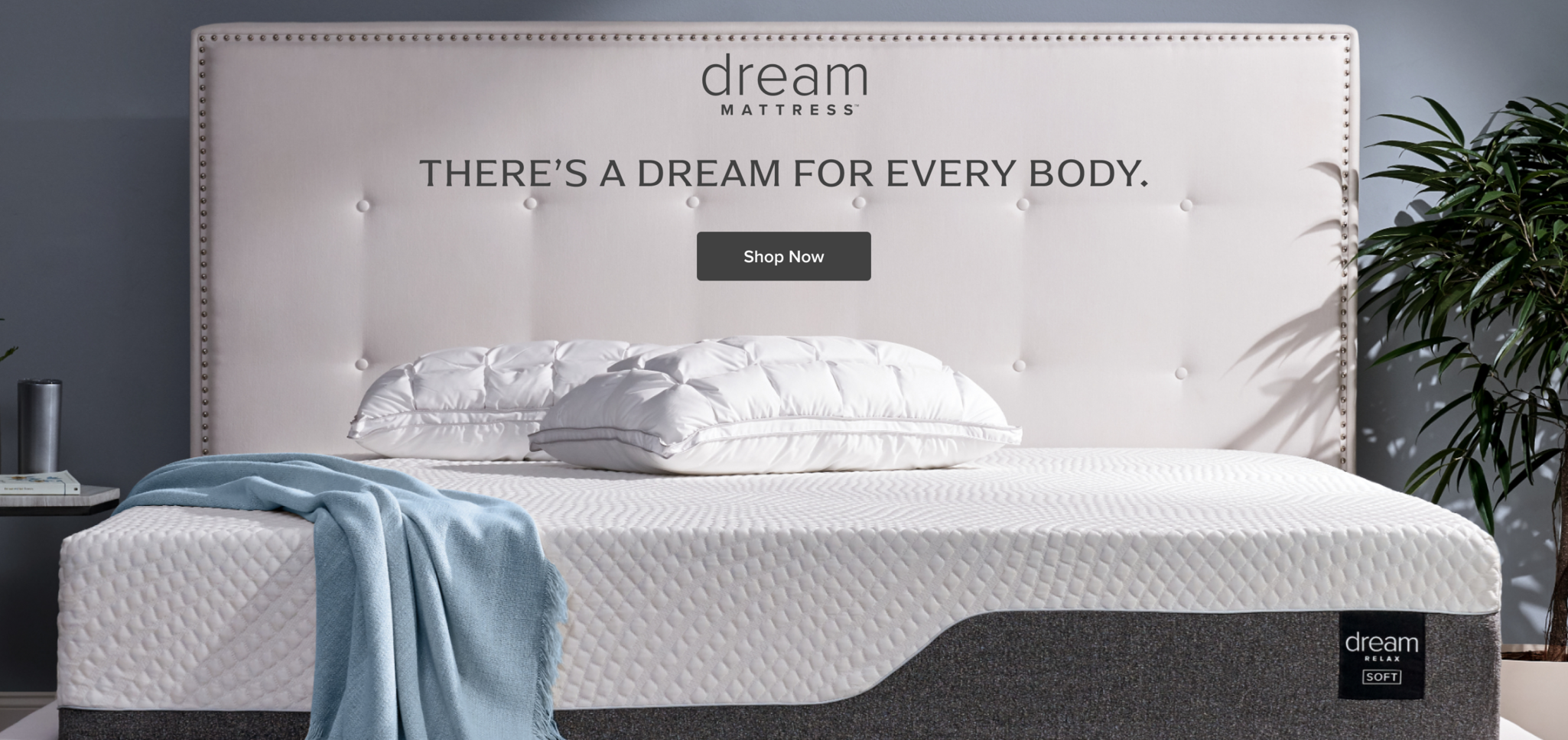 There's a Dream for every body - Shop Dream Mattresses