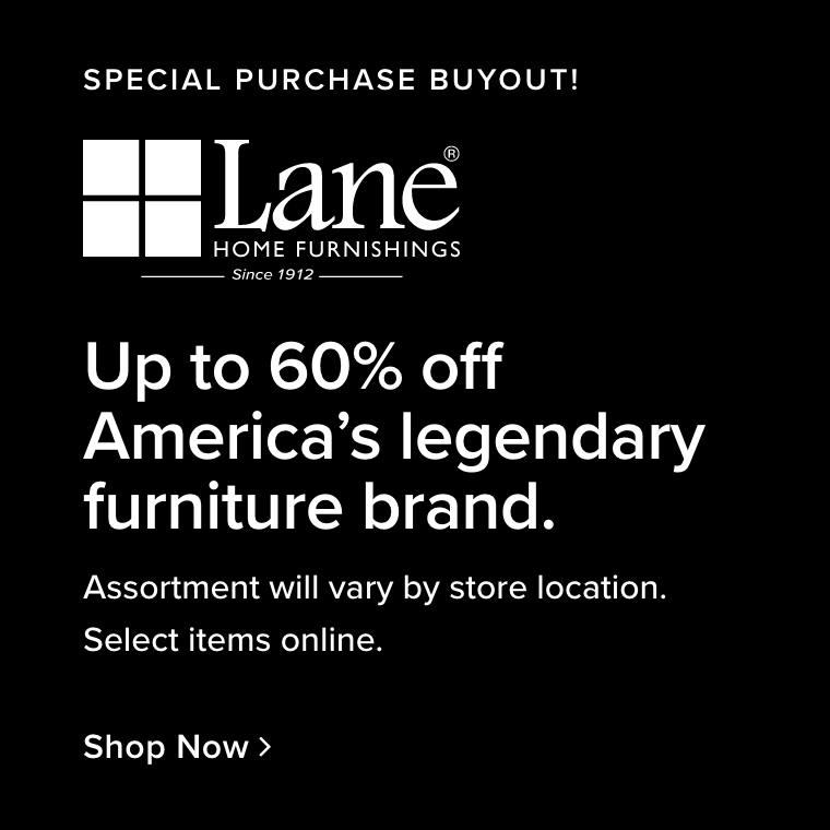 Lane Furniture Buyout