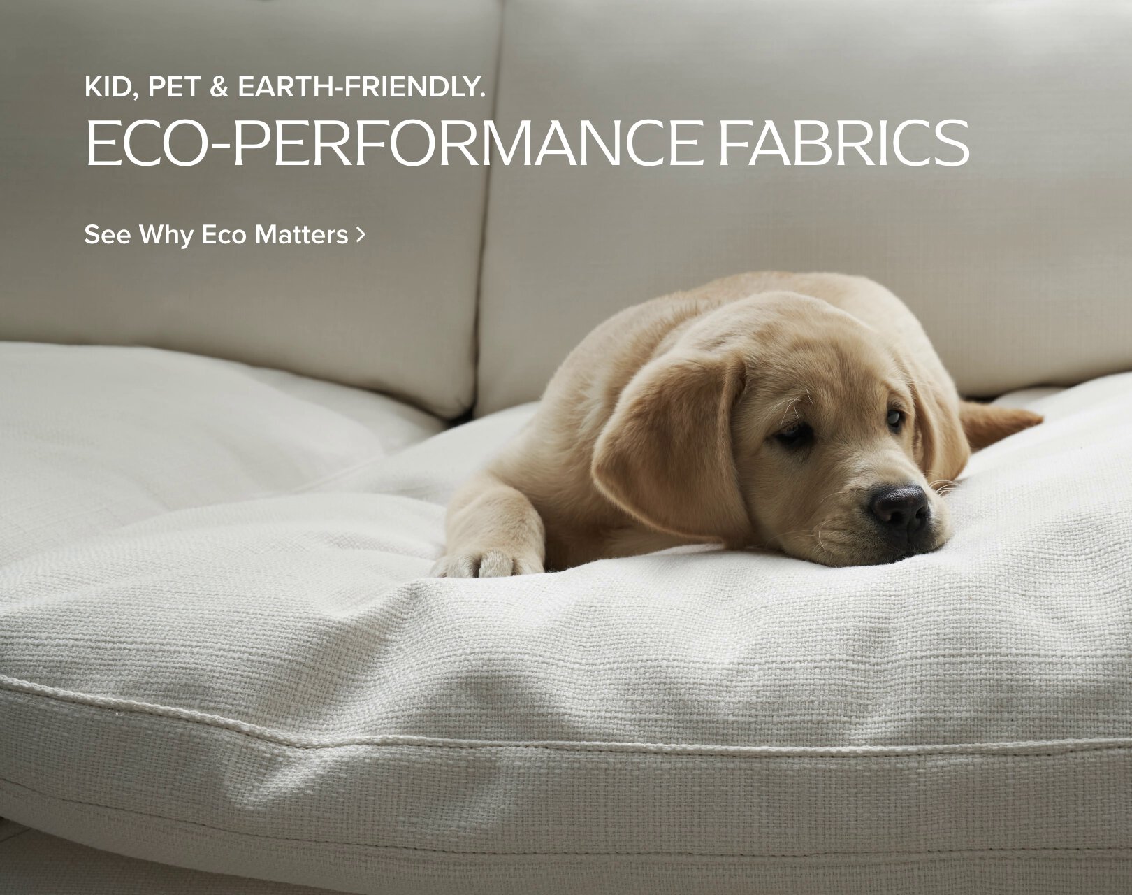 kid, pet & earth-friendly eco-performance fabrics