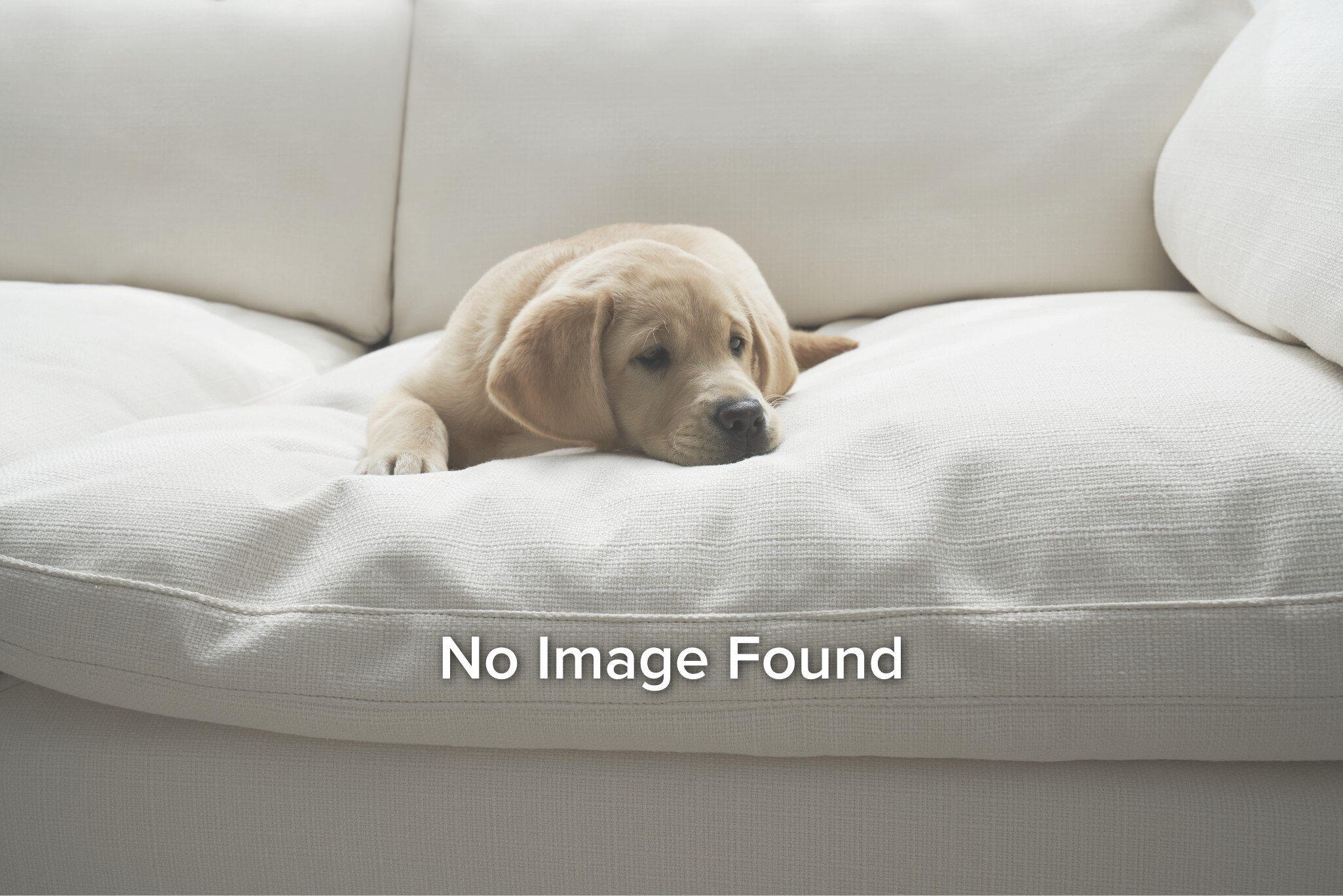 Shop the best mattresses and bedding brands